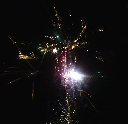 fireworks - leśne oczywiście